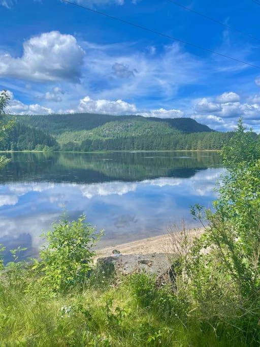 Sjarmerende Hus I Vennesla Екстериор снимка